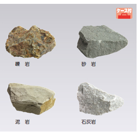 標本用岩石（たい積岩）